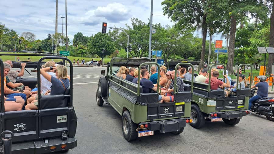 Rio de Janeiro: Botanical Garden & Tijuca Forest Guided Tour - What to bring for comfort: sunscreen, repellent, and grippy shoes