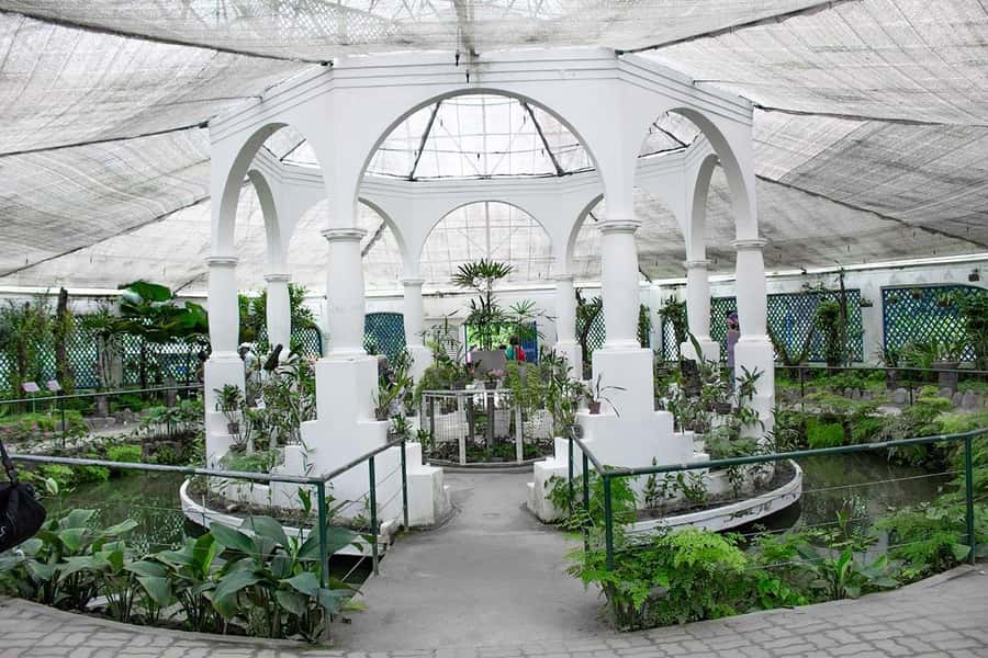 Rio de Janeiro: Botanical Garden & Tijuca Forest Guided Tour - FAQ