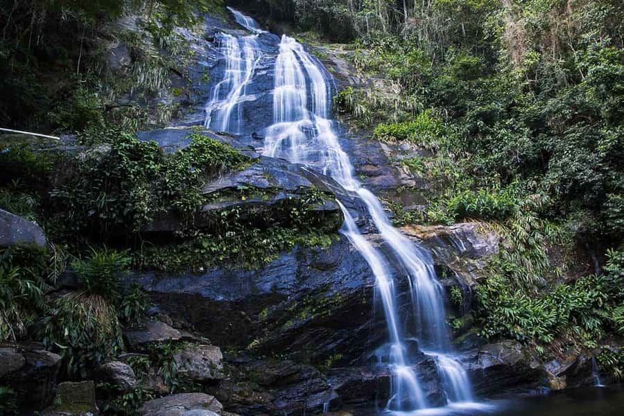 Rio de Janeiro: Botanical Garden & Tijuca Forest Guided Tour - Photo stops that matter: waterfalls, Chinese View, and Emperor’s Table