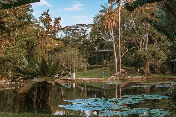 Rio de Janeiro Botanical Garden & Tijuca Forest Tour - How this Rio botanical + rainforest combo really works