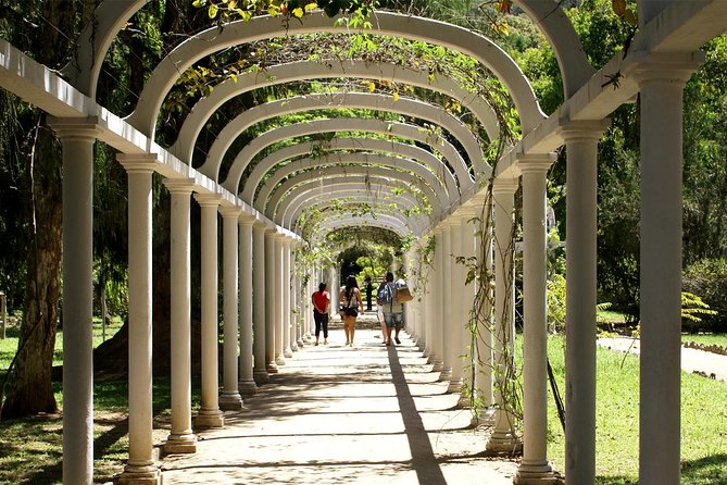 Rio de Janeiro Botanical Garden Tour - From Your Hotel to the Base of Corcovado: The Smooth Part of the Day