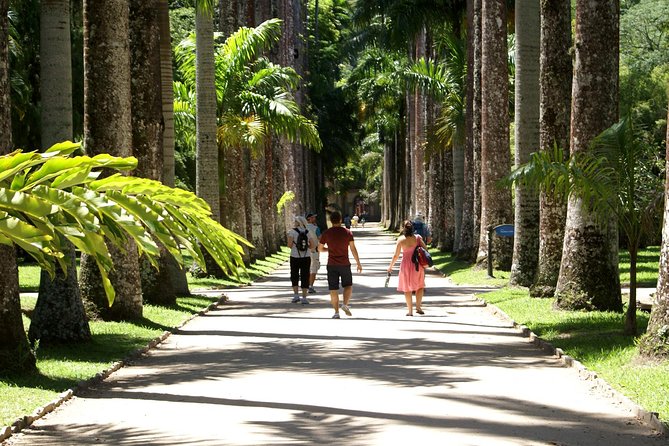 Rio de Janeiro Botanical Garden Tour - Group Size and the Guide Factor: What Makes This Feel Personal