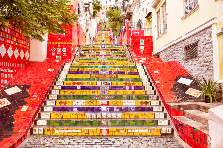 Rio de Janeiro: Christ, Selaron Steps, and Tijuca Park Tour - Downtown icons: Maracanã, Cinelândia, and the Cathedral in one sweep