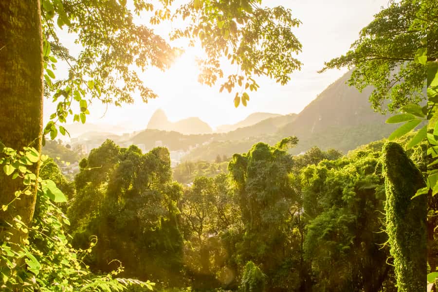 Rio de Janeiro: Christ, Selaron Steps, and Tijuca Park Tour - How the timing works in a 7-hour day