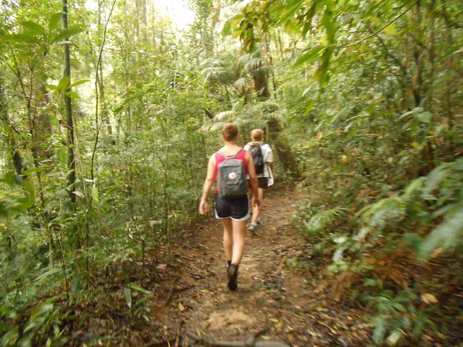 Rio de Janeiro: Christ the Redeemer Guided Hike - Transfers and drop-offs in Rio’s South Zone