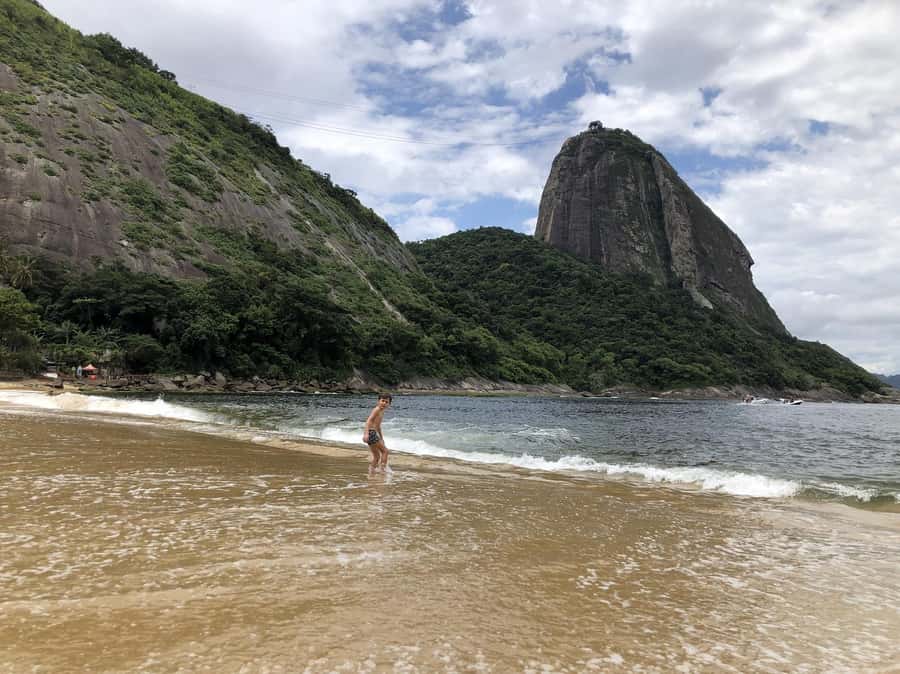 Rio de Janeiro: City tour, food, night attractions and more! - Tijuca National Park Stop: Green Break with a Weekend Reality Check