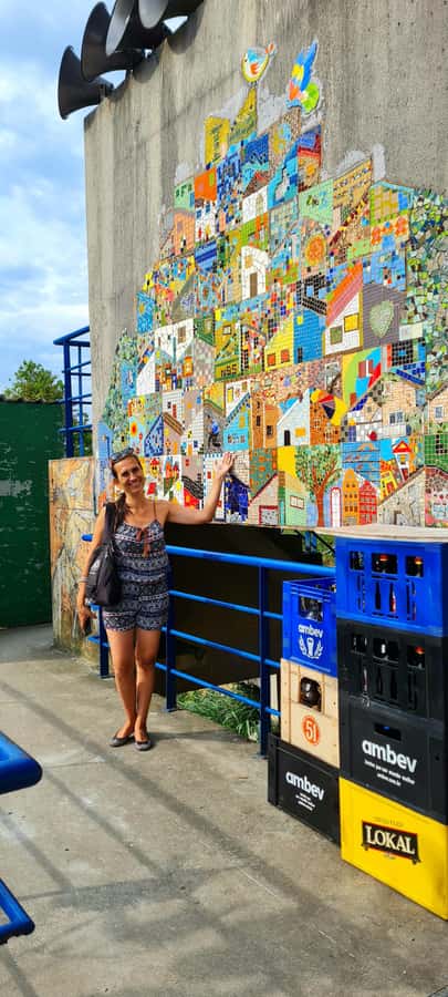 Rio de Janeiro: Favela Santa Marta Tour with Resident Guide - Who should book this Santa Marta tour