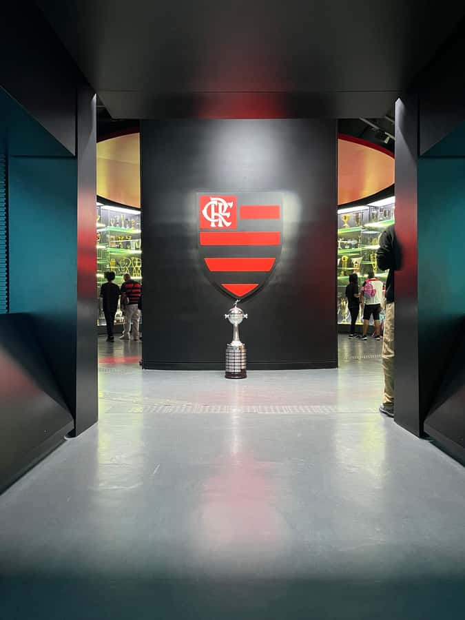Rio de Janeiro: Flamengo Museum Ticket Entrance - Rubro-Negra theme areas and the preserved collection