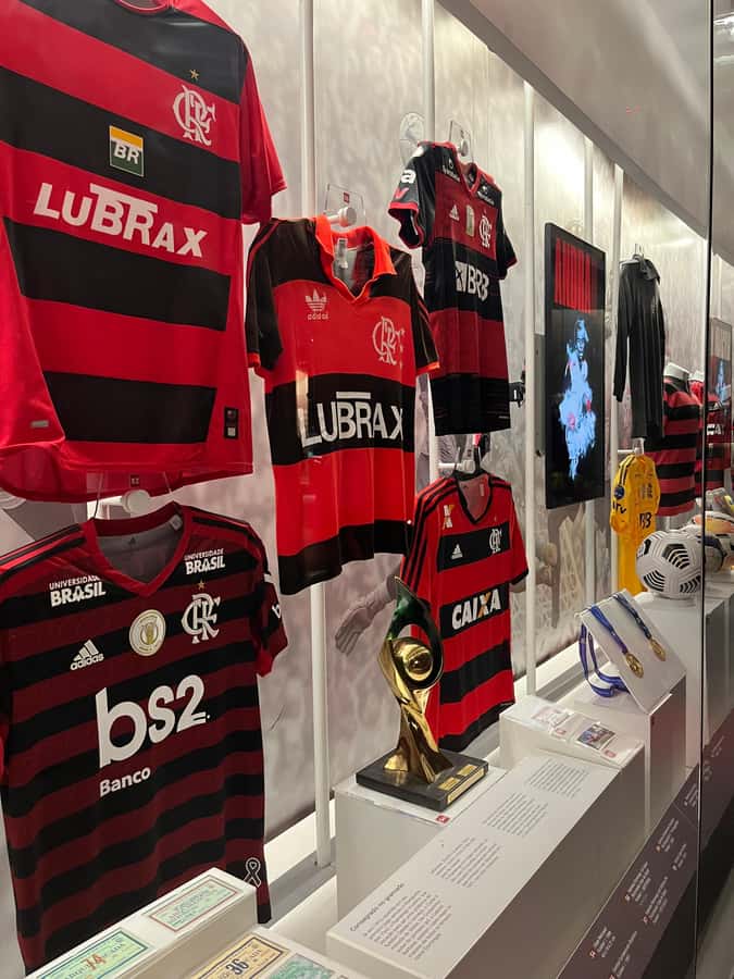 Rio de Janeiro: Flamengo Museum Ticket Entrance - How the tech and screens work with the exhibits