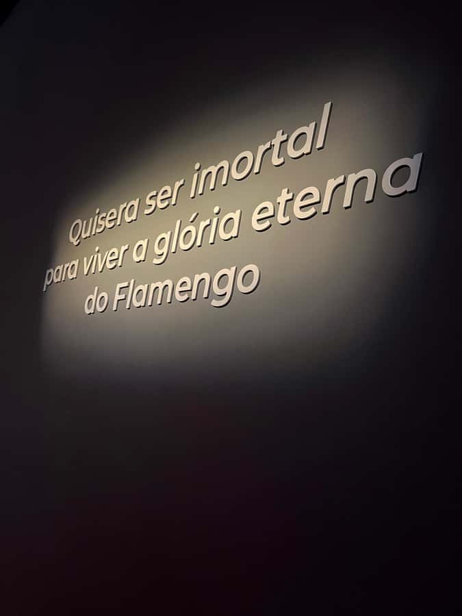 Rio de Janeiro: Flamengo Museum Ticket Entrance - Four-floor trophy room: the highlight for most first-timers