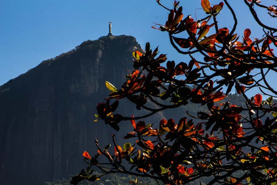 Rio de Janeiro: Guided Bike Tours in Small Groups - Southern Zone Focus: Copacabana, Sugarloaf, Botafogo, Lagoa