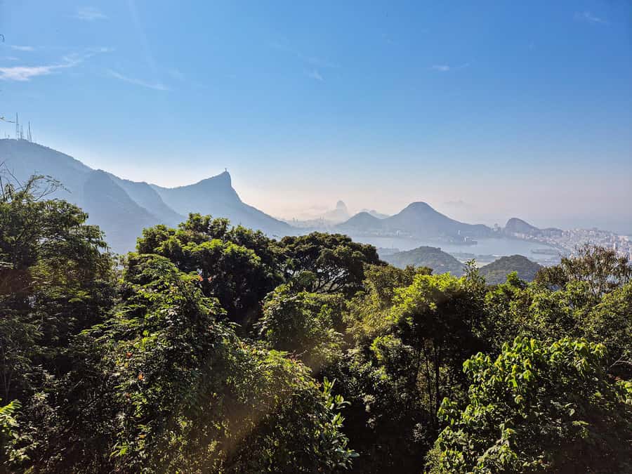 Rio de Janeiro: Guided Jeep Tour through Tijuca Rainforest - How the guides make the tour worth it (and why names matter)