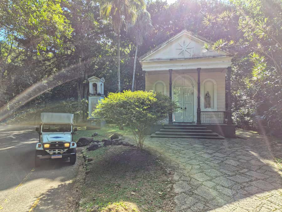 Rio de Janeiro: Guided Jeep Tour through Tijuca Rainforest - Pickup, timing, and what fits in the 4 hours