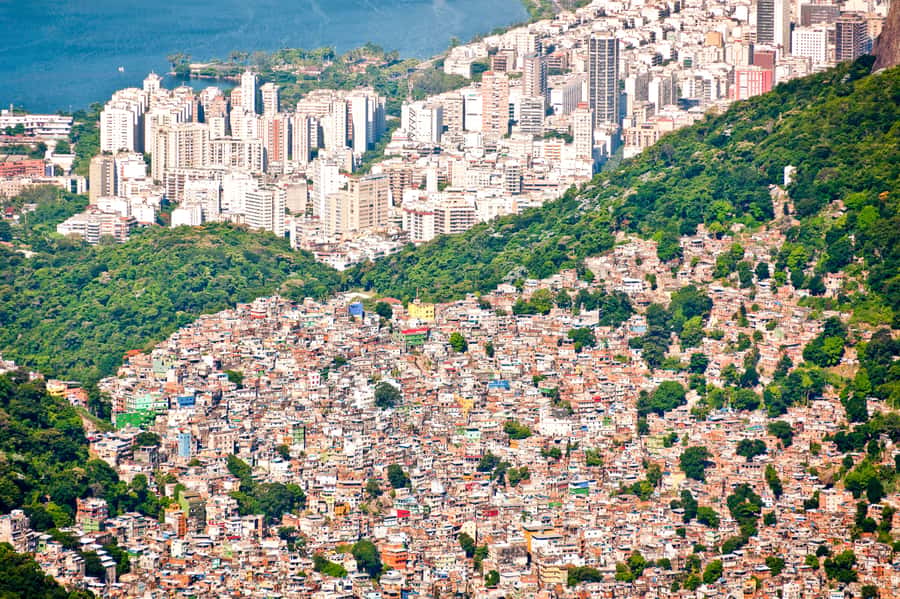 Rio De Janeiro: Half-Day Rocinha Favela Walking Tour - From Street to Skyline: Viewpoints Over Rio (and Why They Matter)
