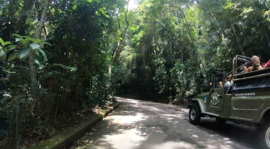 Rio de Janeiro: Jeep Tour in the Tijuca Forest - Who this tour fits best (and who should adjust expectations)