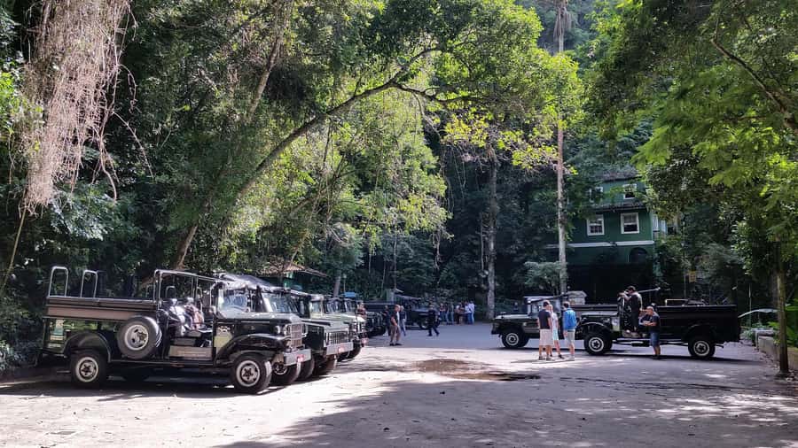 Rio de Janeiro: Jeep Tour in the Tijuca Forest - Natural pool break: a short swim stop, not the main event