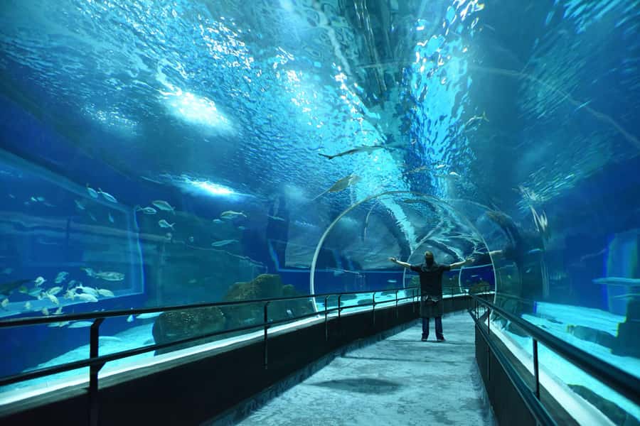 Rio de Janeiro: Marine Aquarium Entry Tickets - AquaRio’s scale makes it a go-to Rio plan