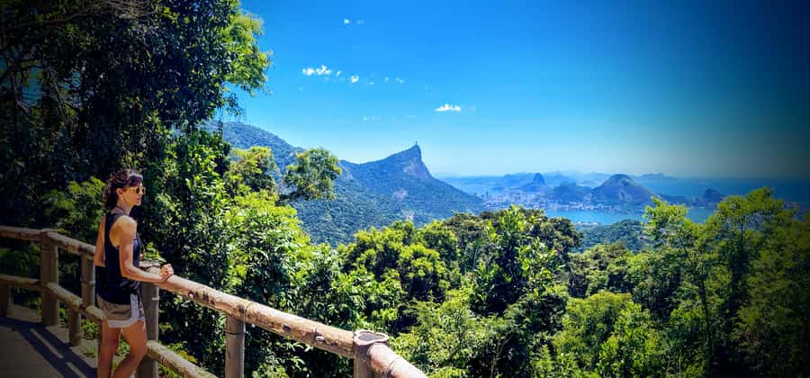 Rio de Janeiro Nature Secrets 'The Eco Citytour' - A 9-hour Rio nature circuit with real variety