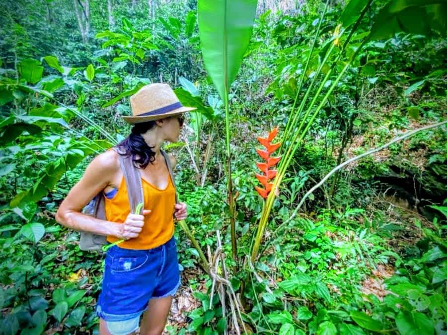 Rio de Janeiro Nature Secrets 'The Eco Citytour' - Lunch at Barra da Tijuca: recharge before mangroves and Prainha