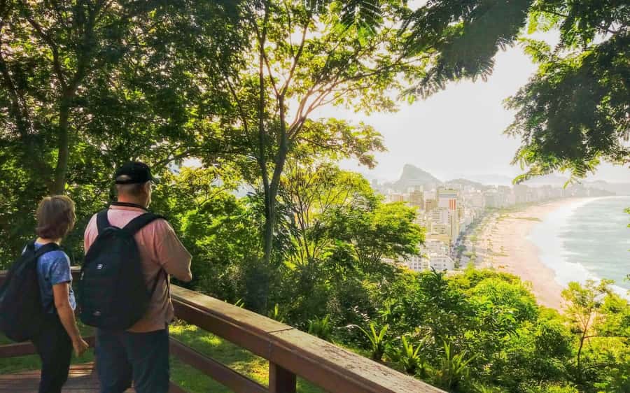 Rio de Janeiro Nature Secrets 'The Eco Citytour' - Marapendi Park: mangroves, lagoons, and wildlife-country stillness