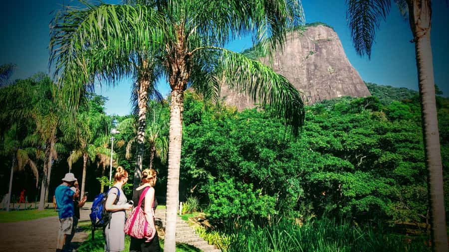 Rio de Janeiro Nature Secrets 'The Eco Citytour' - Morning at Dois Irmãos: Leblon and Ipanema from high ground