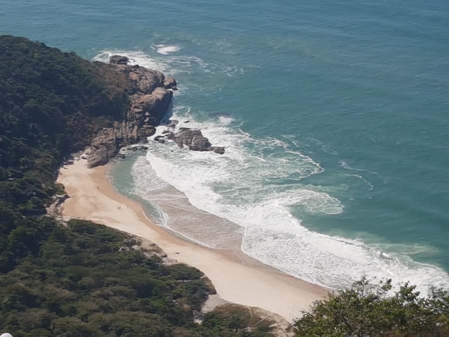 Rio de Janeiro: Pedra do Telegrafo Hike & Grumari Beach Tour - Who should book this Pedra do Telegrafo and Grumari tour