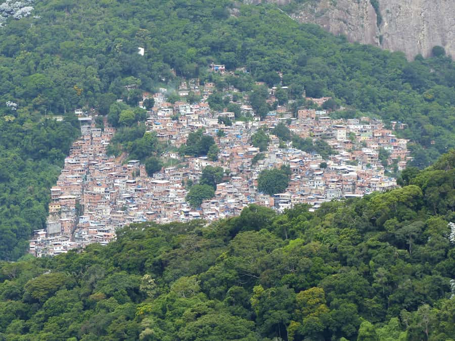 Rio de Janeiro: Private Day Tour with lunch - The 9-hour private format: efficient, not rushed-chaotic