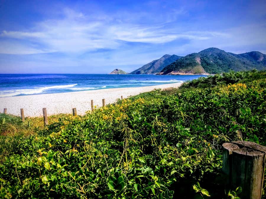 Rio de Janeiro Secluded Beaches: Hike+Swim Prainha & Grumari - Caeté Summit Hike: 2.8 km, 190 m Gain, About 1.5 Hours
