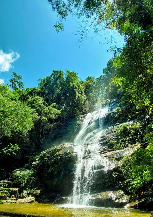 Rio de Janeiro: Tijuca Forest Challenge Hike Full-Day Trip - Cascatinha Taunay and the first rainforest lesson stops