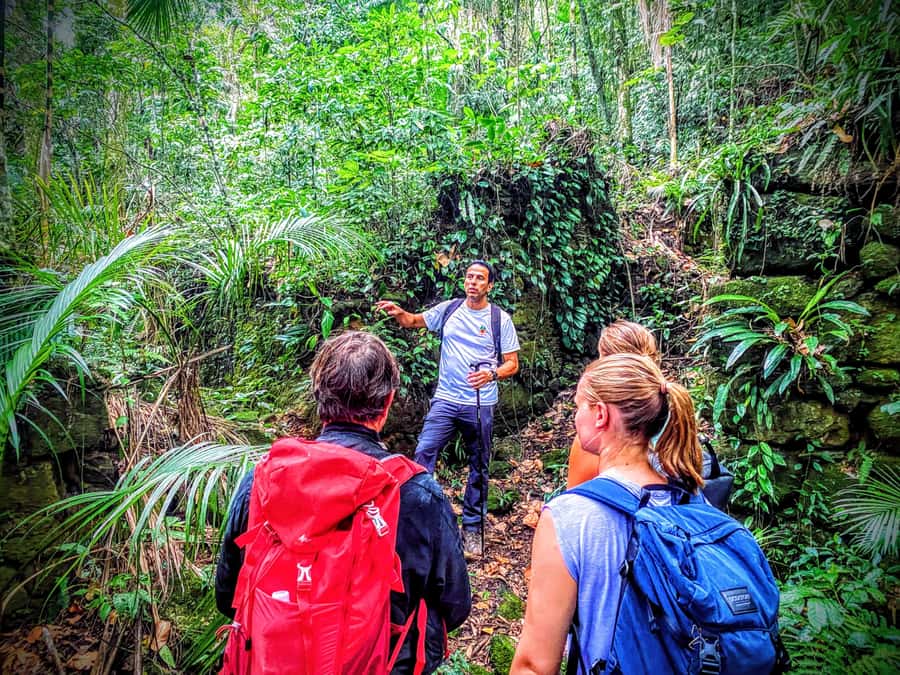 Rio de Janeiro: Tijuca Forest Challenge Hike Full-Day Trip - Bat cave stop and why the small group pace helps