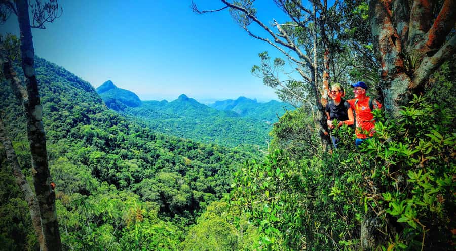Rio de Janeiro: Tijuca Forest Challenge Hike Full-Day Trip - Vista Chinesa on working days: the bonus summit add-on