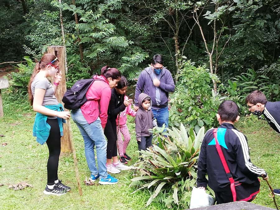 Rio de Janeiro: Tijuca Forest Waterfall of Souls Hike - Key highlights worth prioritizing