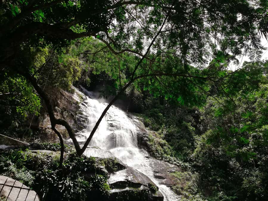 Rio de Janeiro: Tijuca Forest Waterfall of Souls Hike - Price and value: what $60 gets you in Rio’s Tijuca Forest