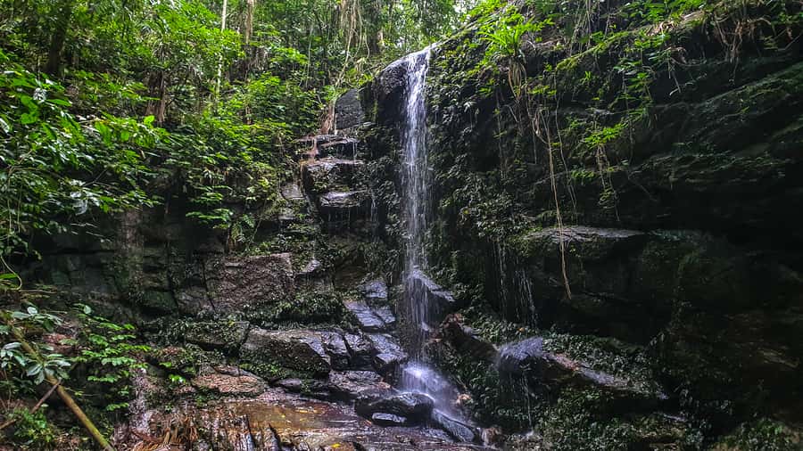 Rio de Janeiro: Tijuca Forest Waterfall of Souls Hike - Tijuca Forest Waterfall of Souls: what kind of experience is this?