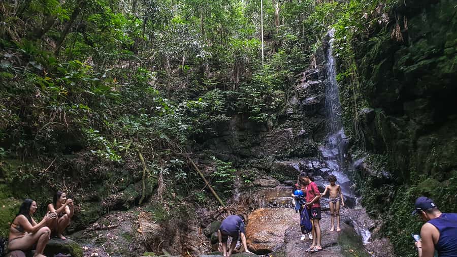 Rio de Janeiro: Tijuca Forest Waterfall of Souls Hike - Logistics you’ll want to plan for (transport, timing, small-group size)