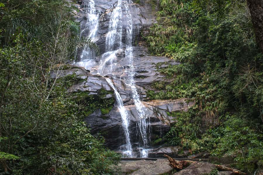 Rio de Janeiro: Tijuca Forest Waterfall of Souls Hike - Meeting at Estr. da Cascatinha 300 and getting to the trail start