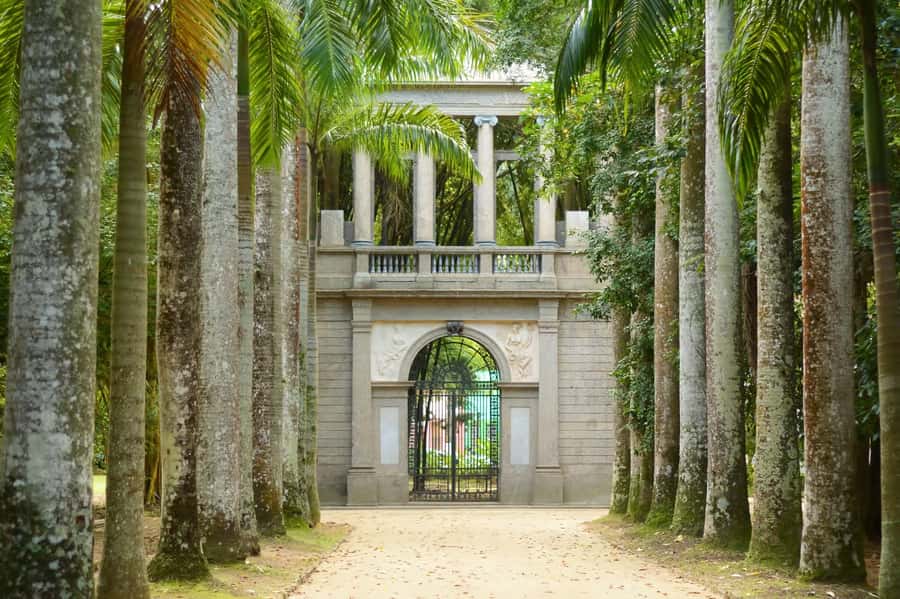 Rio de Janeiro: Tijuca National Park & Botanic Garden Tour - Key highlights worth caring about
