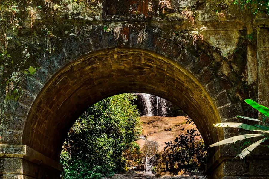 Rio de Janeiro: Tijuca National Park & Botanic Garden Tour - What to bring (and why it’s not optional in a rainforest)