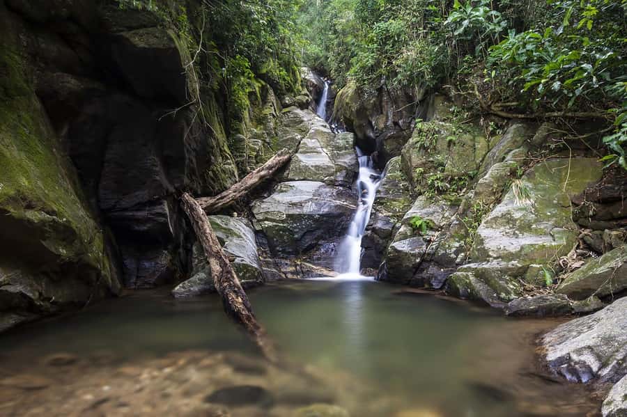 Rio de Janeiro: Tijuca National Park & Botanic Garden Tour - A four-hour plan that fits Rio’s traffic and your energy