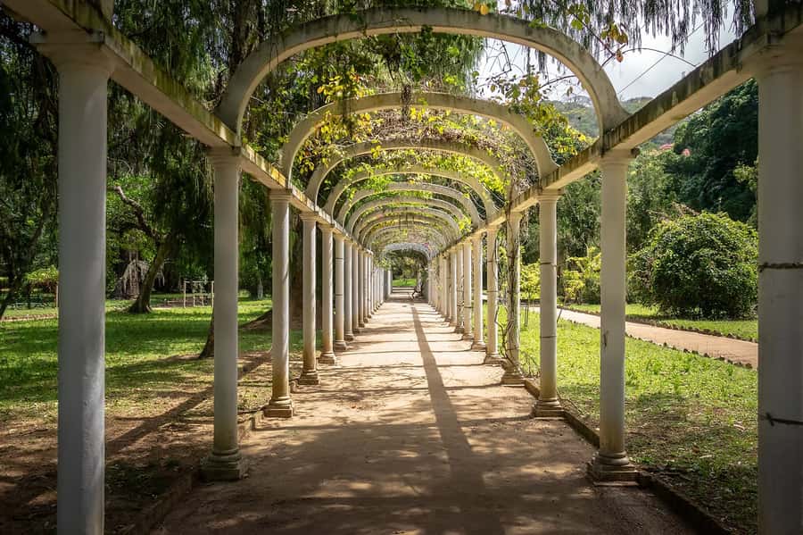 Rio de Janeiro: Tijuca National Park & Botanic Garden Tour - Vista Chinesa: the viewpoint stop that makes the morning click