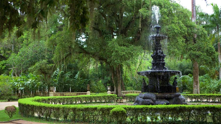 Rio de Janeiro: Tijuca National Park & Botanic Garden Tour - Taunay Waterfall and Mayrink Chapel: landmarks that anchor your route