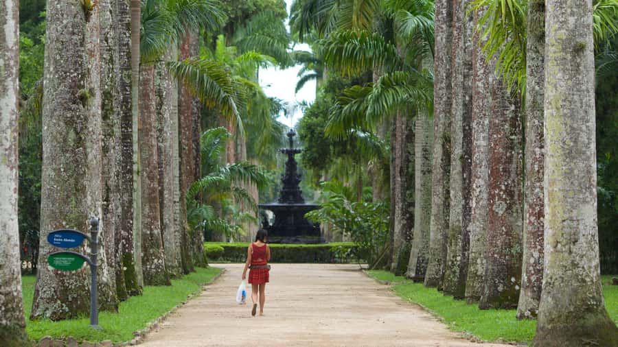 Rio de Janeiro: Tijuca National Park & Botanic Garden Tour - Price and value: is $65 actually a good deal?
