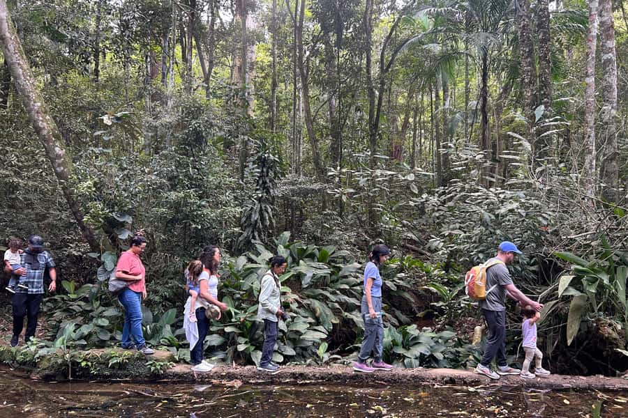 Rio de Janeiro: Tijuca National Park Tour - Key things I’d focus on