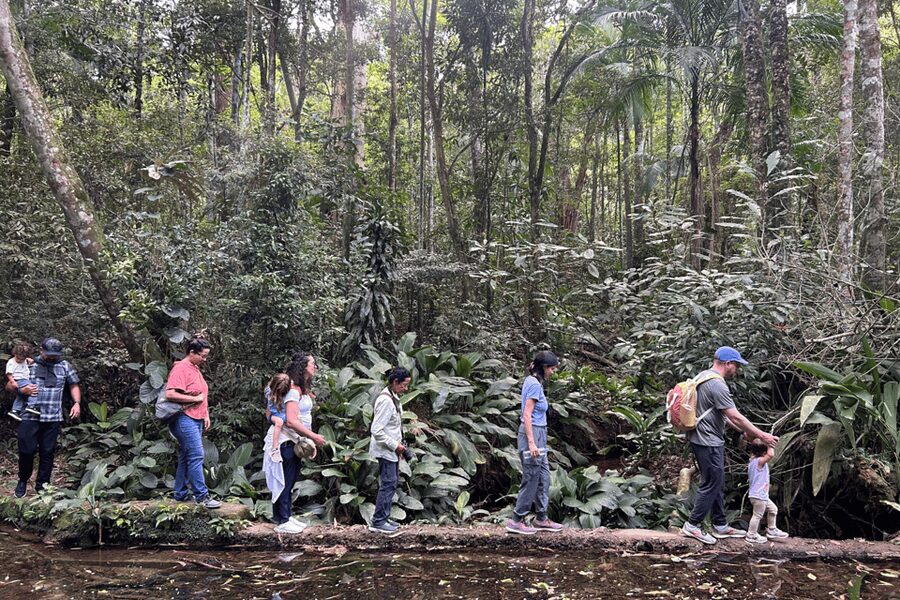 Rio de Janeiro: Tijuca National Park Tour - Should You Book the Tijuca National Park Urban Jungle Tour?