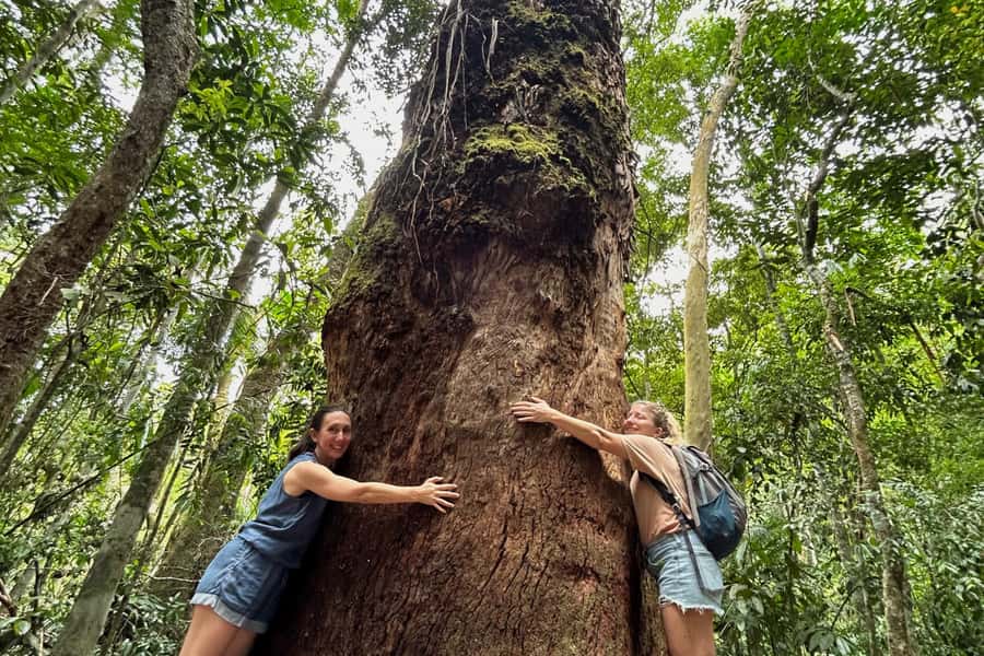 Rio de Janeiro: Tijuca National Park Tour - Rainforest Walks From Cascatinha Taunay to Cachoeira das Almas