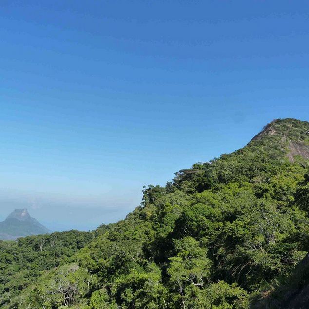 Rio de Janeiro: Tijuca Peak Guided Hike - Cachoeira das Almas: The Waterfall Stop That Changes the Mood
