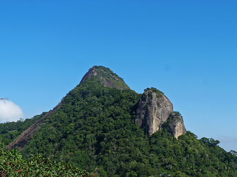 Rio de Janeiro: Tijuca Peak Guided Hike - Pace, Difficulty, and What You’ll Really Do for 6 Hours