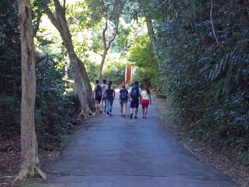 Rio de Janeiro: Tijuca Peak Guided Hike - Guide Quality: Why Bilingual Help Is More Than Translation