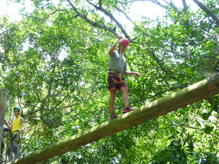 Rio de Janeiro: Zip Lining and Canopy Tree Tour - Key highlights worth knowing
