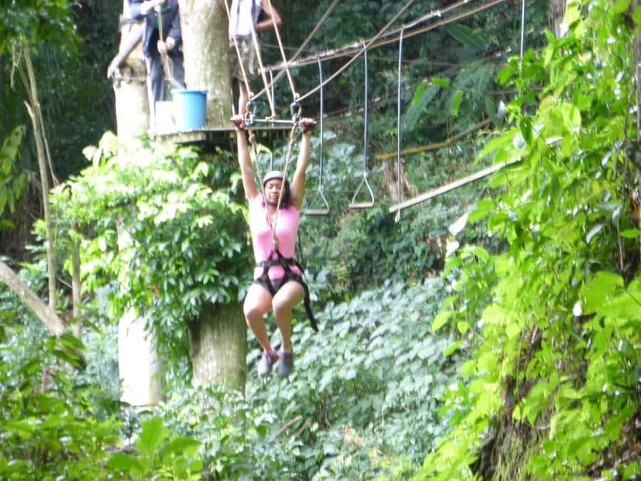 Rio de Janeiro: Zip Lining and Canopy Tree Tour - Tree-top adventure: canopy platforms and nature time